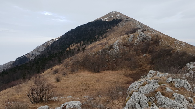 RTANJ - Severnom stranom, (Šiljak 1565 m.)